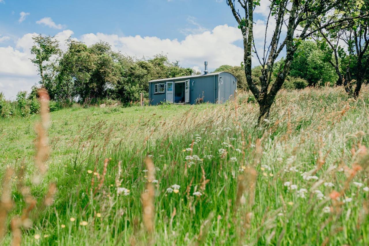 Blatchford Briar - Award Winning Private Shephards Huts With Their Own Secluded Hot Tubs Milton Abbot エクステリア 写真