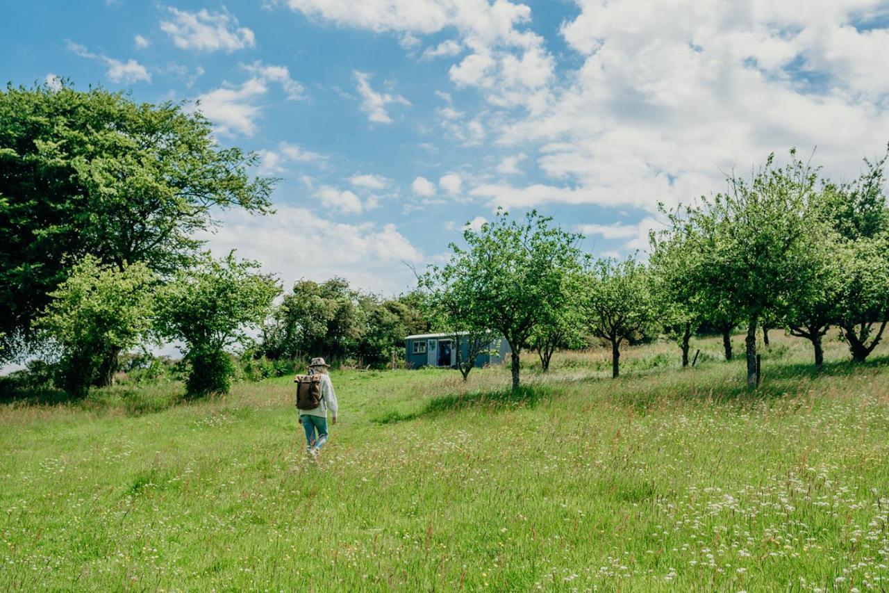 Blatchford Briar - Award Winning Private Shephards Huts With Their Own Secluded Hot Tubs Milton Abbot エクステリア 写真