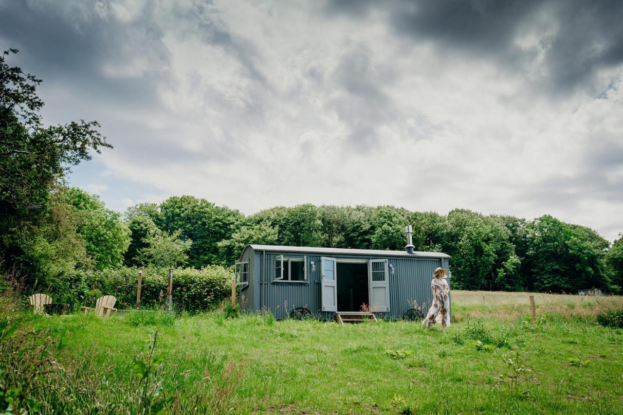 Blatchford Briar - Award Winning Private Shephards Huts With Their Own Secluded Hot Tubs Milton Abbot エクステリア 写真