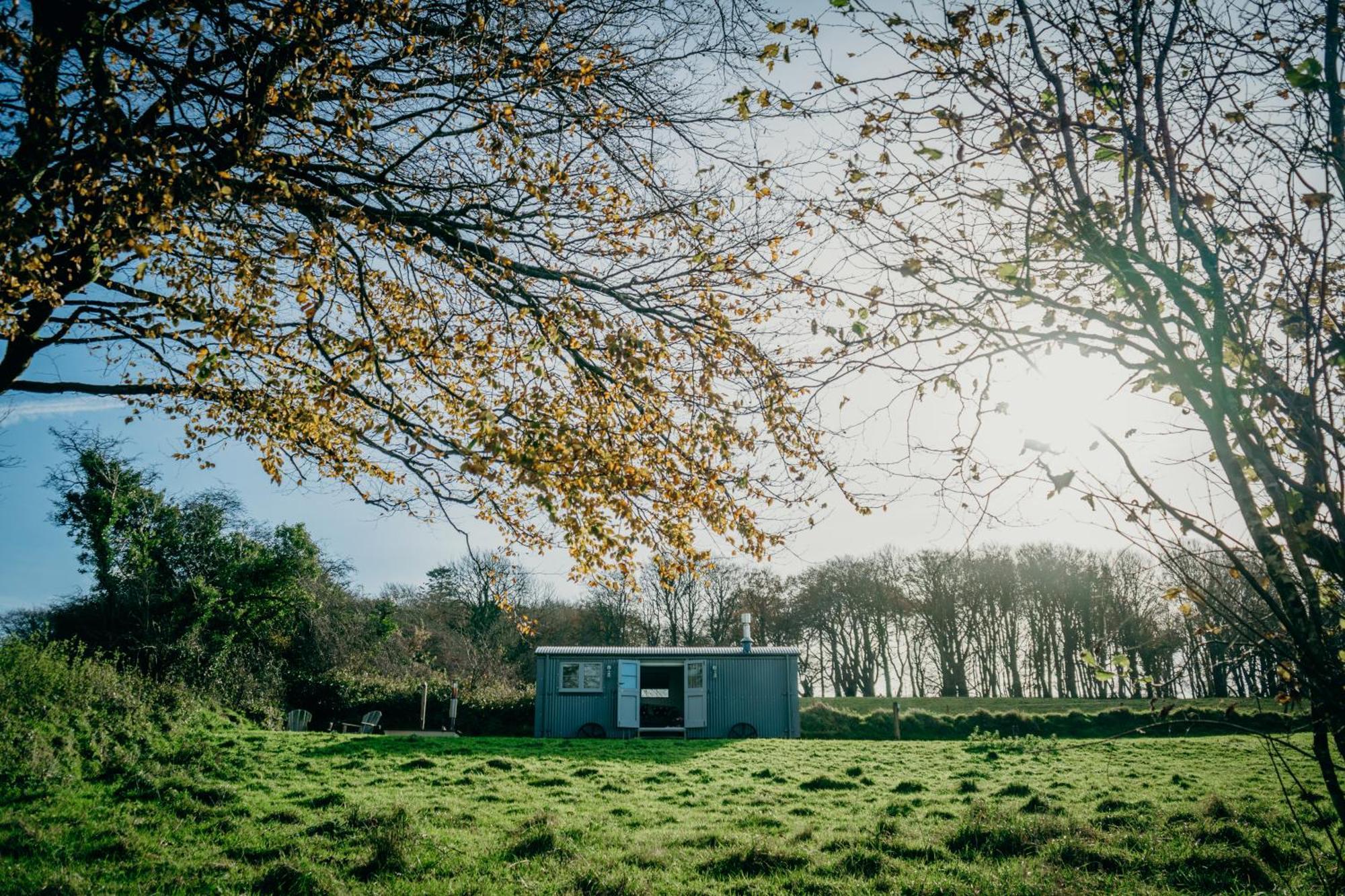 Blatchford Briar - Award Winning Private Shephards Huts With Their Own Secluded Hot Tubs Milton Abbot エクステリア 写真